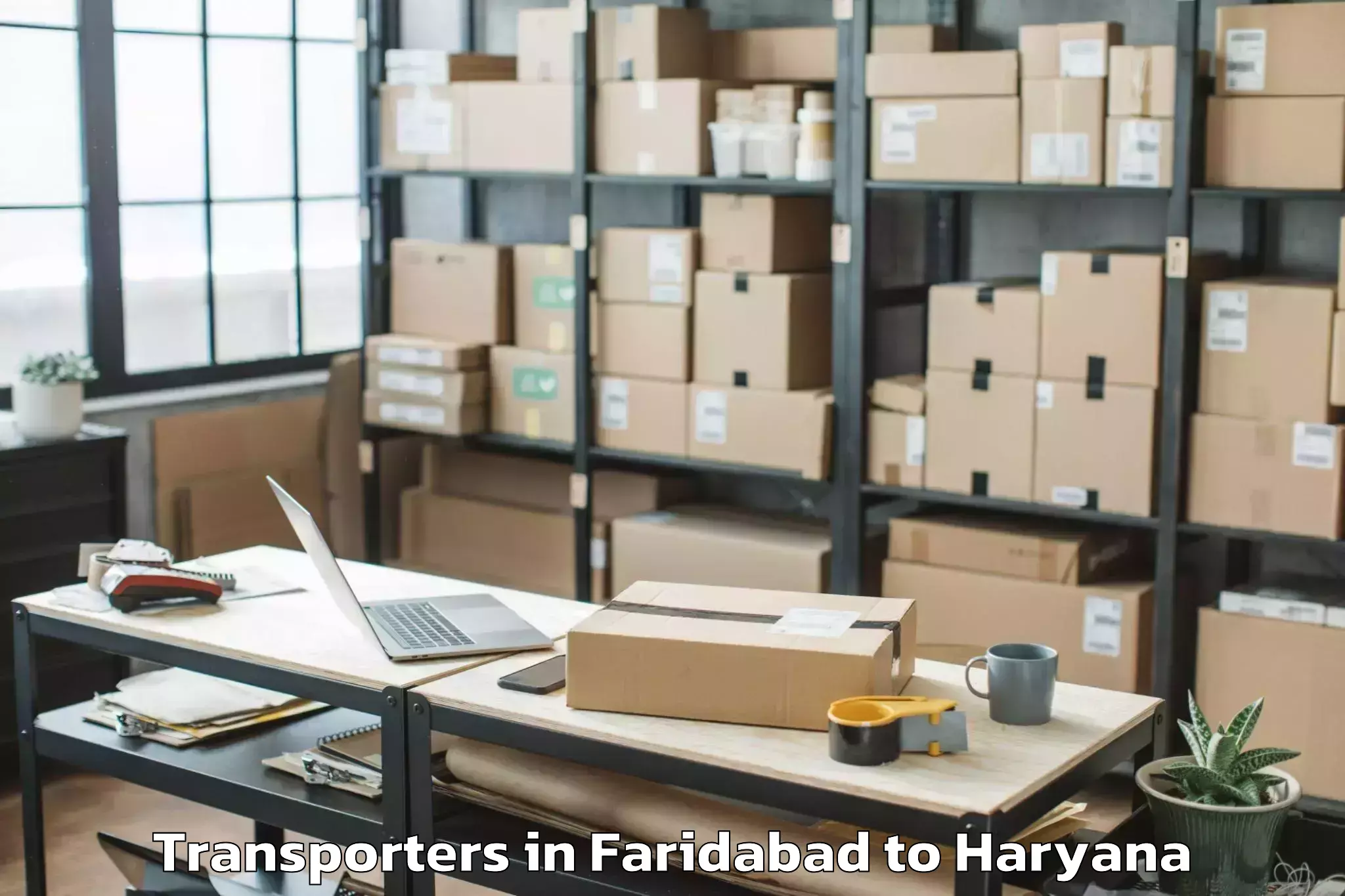 Professional Faridabad to Hathin Transporters